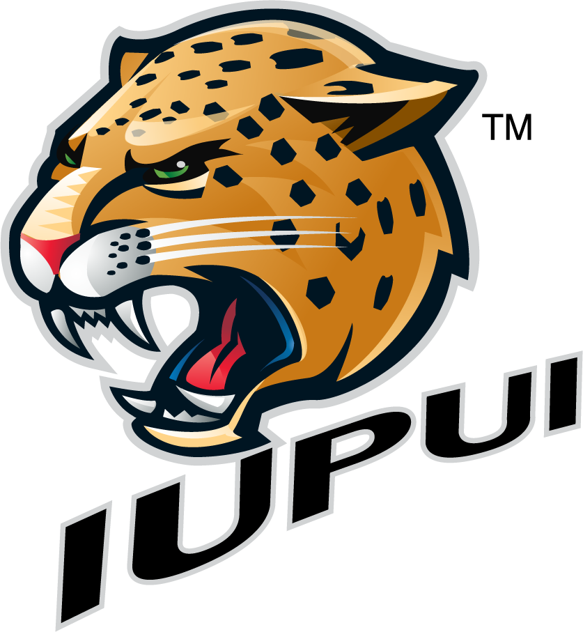 IUPUI Jaguars 2007-2017 Secondary Logo v3 diy DTF decal sticker